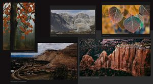THE COLORADO PACK - 15 CARDS