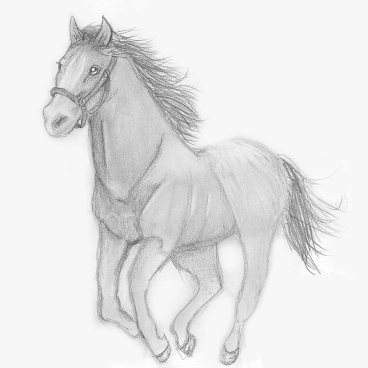 Galloping Horse. Hand Drawing Black and White Image Stock Illustration -  Illustration of stylization, sketch: 138842690
