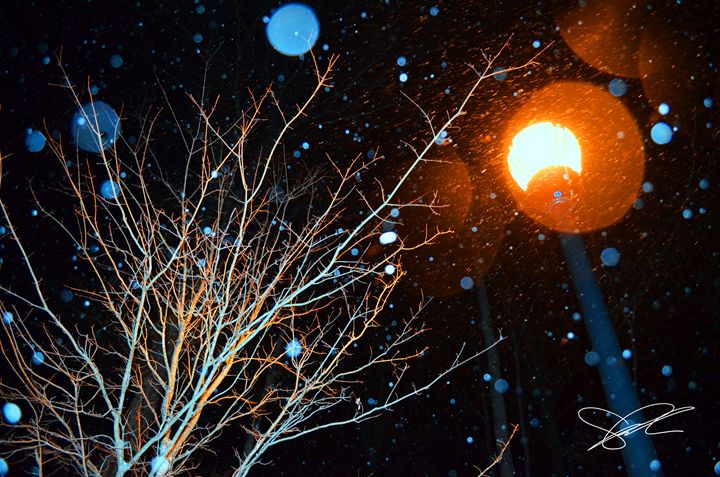 Snow Globe - Artistic Decor - Photography, Landscapes & Nature, Natural