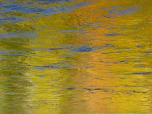 Golden Reflections by Surfclaw 2009