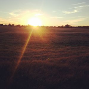 Sunset Haymeadow