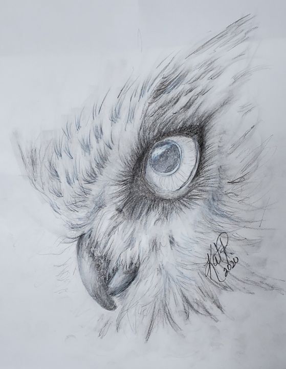 Owl - Kat Preston Art - Drawings & Illustration, Animals, Birds, & Fish ...