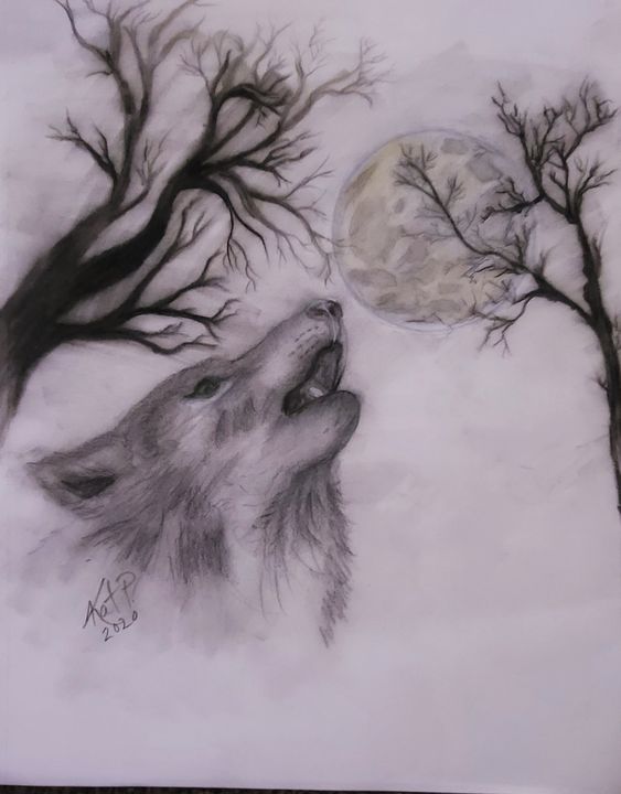 How To Draw A Wolf Moon Step by Step Drawing Guide by Dawn  DragoArt