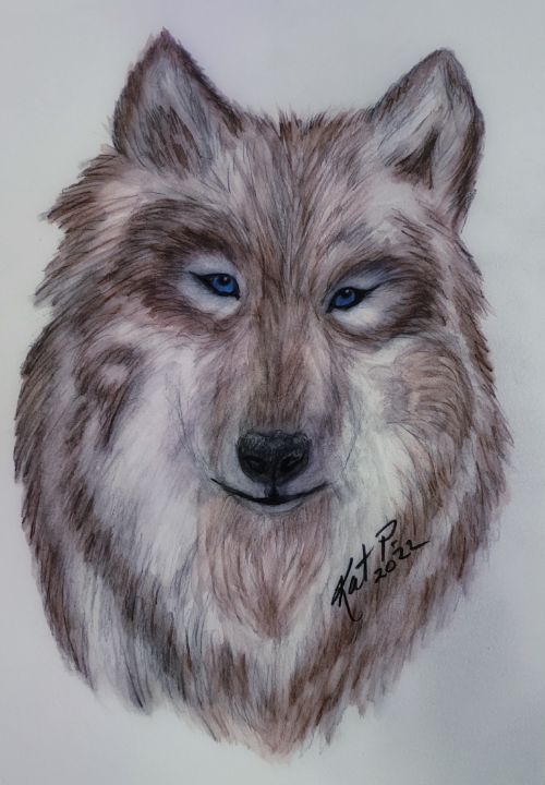 Wolf - Kat Preston Art - Drawings & Illustration, Animals, Birds ...