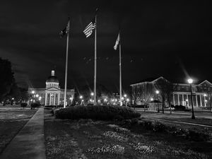 Flags in Greyscale
