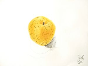 画梨 家威绘画 How to Draw Pear by Kavi Chu