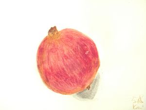 画石榴 家威绘画 How to Draw Promegranate