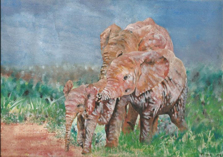 Elephant Calves - tino
