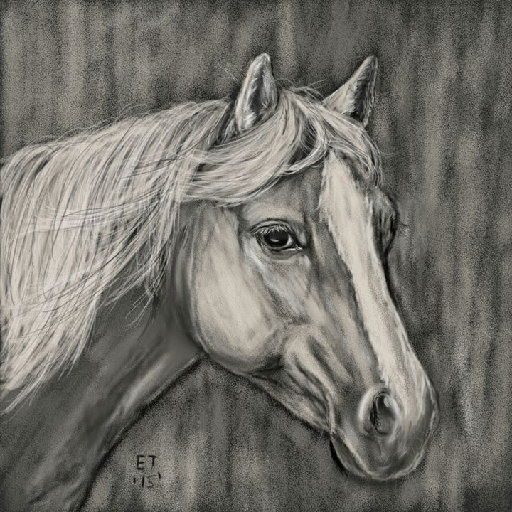 Charcoal Palomino Horse - Ellie Taylor Artist - Digital Art, Animals ...