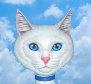 Cute White Cat blue eyes & collar