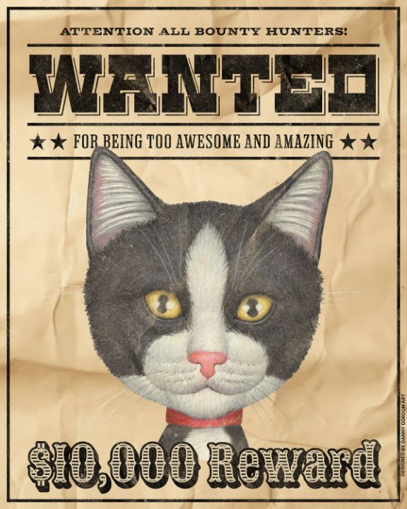 Cute Tuxedo-Cat Wanted Poster - Danny Gordon Art