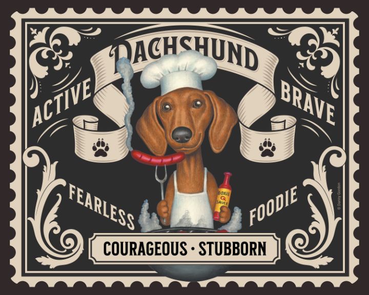 Dachshund doxie pet portrait hot dog weener dog breed funny small