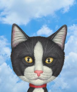 Cute Tuxedo cat with clouds