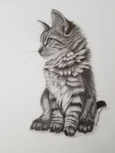 Cat And Butterfly Pencil Art - Deepa paintings - Drawings & Illustration,  Animals, Birds, & Fish, Cats & Kittens, Other Cats & Kittens - ArtPal