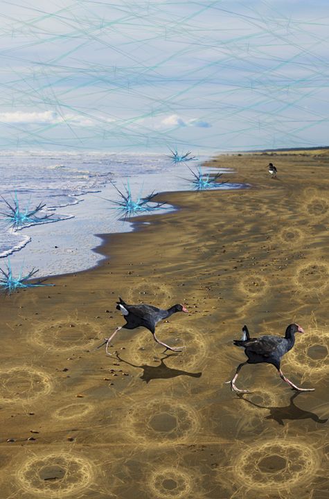 Pukeko Planet - Mannz Gallery