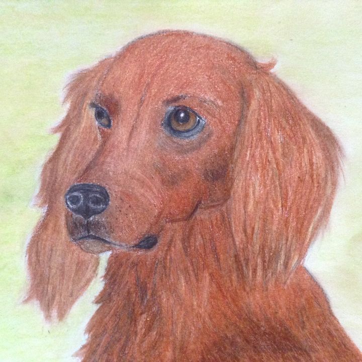 Irish Setter Personalized Pet Art Paintings Prints Animals Birds Fish Dogs Puppies English Setter Artpal