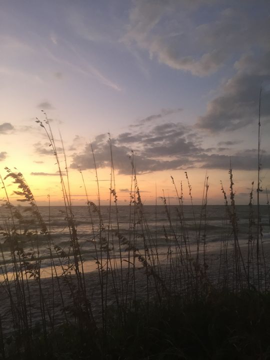 sunset waves by the beach - Aesthetically Alyssa
