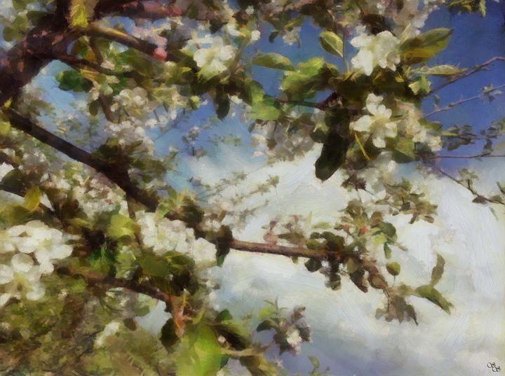Apple Blossom Sky - Impressionisms