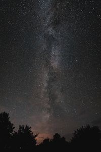 Milky way out of trees