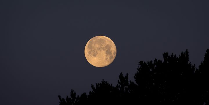 Full moon over the threes - HideMyWall