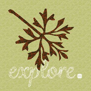 Fall leaf series #4 - Explore