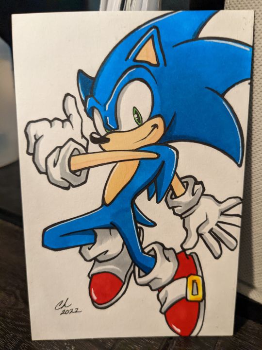 Sonic Fanart Wall Art for Sale