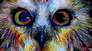 owls - jhdavis