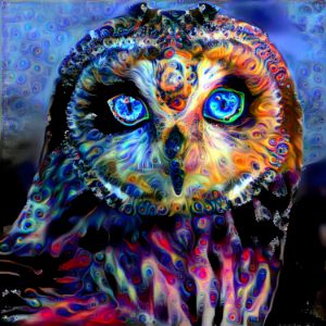 owl vision