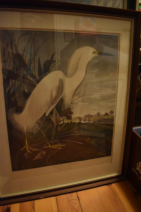 Snowy Heron White Egret - Collectable Art