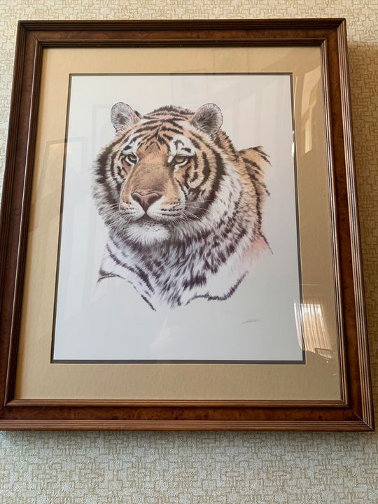 Tiger face print - Collectable Art