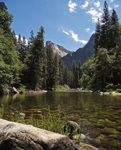 Merced River at Yosemite