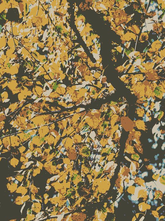 Autumn Tree - Rachel Vdolek