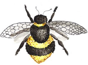 bumblebee 2