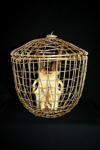 The Gilded cage - Patrik Šíma