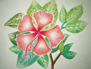 Red Flower