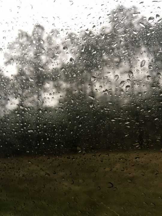 Rainy day - Toadie