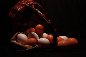 Eggless Basket
