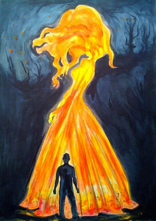 he-fire-salixs-prints-drawings-illustration-animals-birds