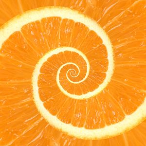Spiral Citrus Orange Droste