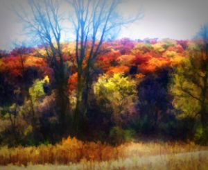 Fall Abstract Landscape