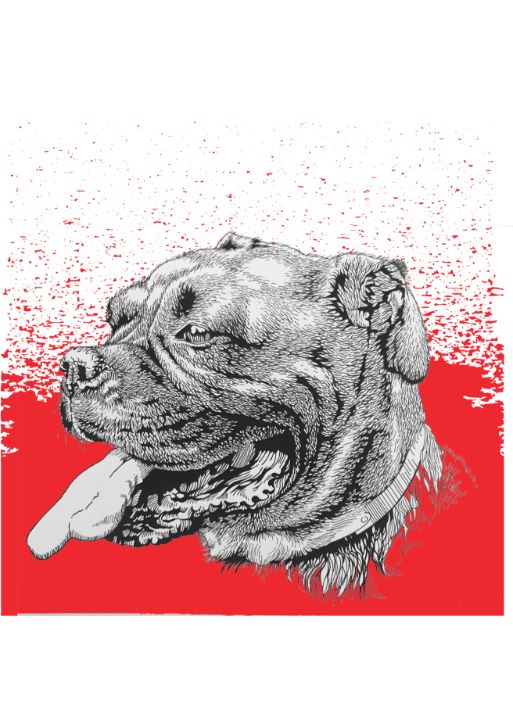 big furry red dog - Bert EngleField