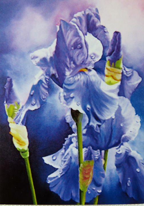 Irises In The Rain - ART-DFrancis