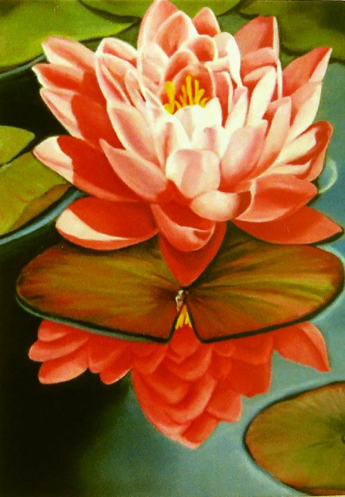 Pink Water Lily - ART-DFrancis