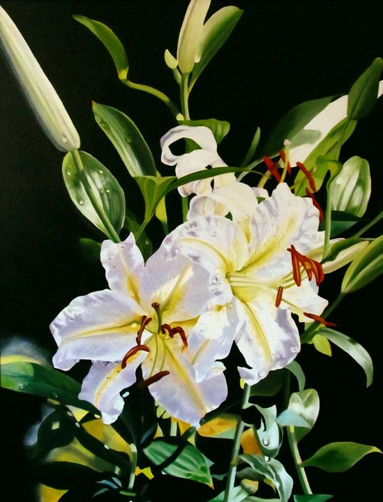 Exotic Lilies - ART-DFrancis