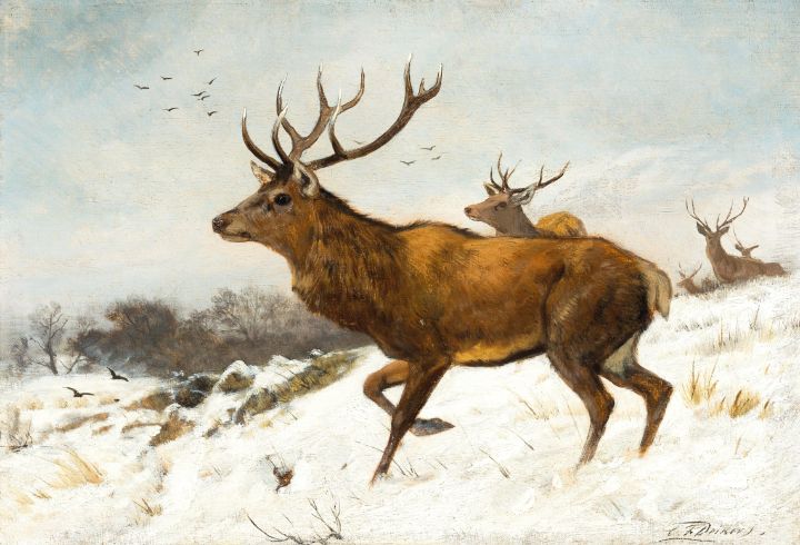 Deer in snow - Great Art Library - Paintings & Prints, People