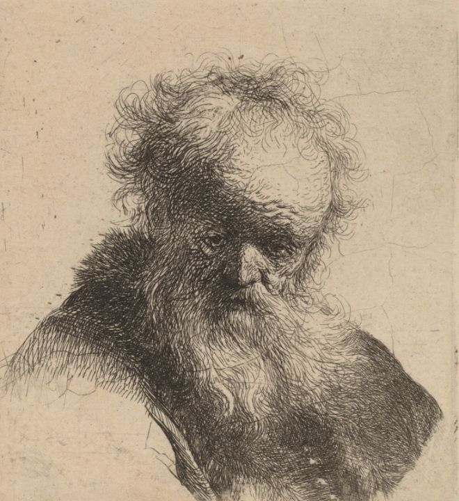 Bust of an Old Man with Flowing Bear - Great Art Library - Paintings ...