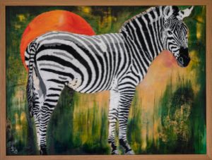 Zebra's life