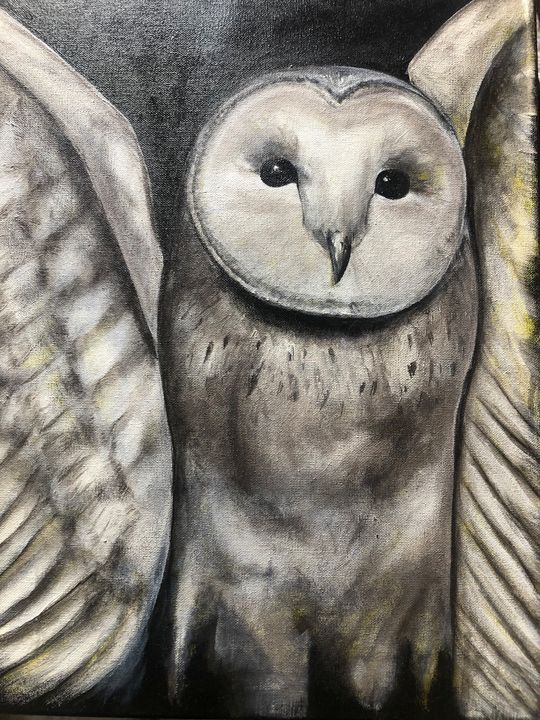 Owl - Arrow Spell