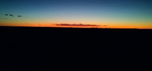 Kalahari at dusk.