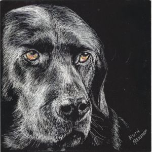 Black Dog Portrait - Ruth Renshaw